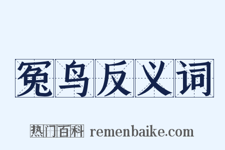 冤鸟反义词是什么意思的图片